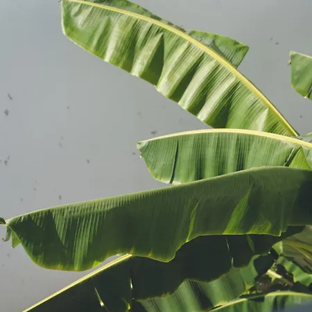 A Dream Facing The Sea Private Pool Dom wakacyjny Bodrum
