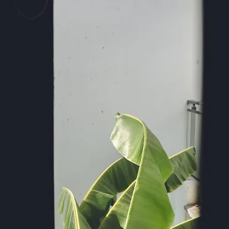 A Dream Facing The Sea Private Pool * Bodrum